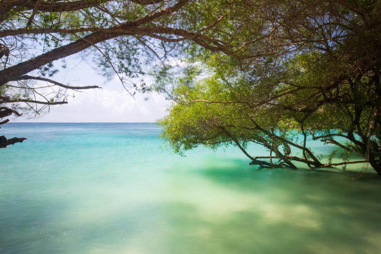 Koh Tao Relax Freedom Beach Resort Екстер'єр фото